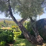 Pergolas Casa de Férias